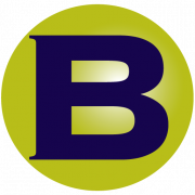 Company logo of Business Impact Group